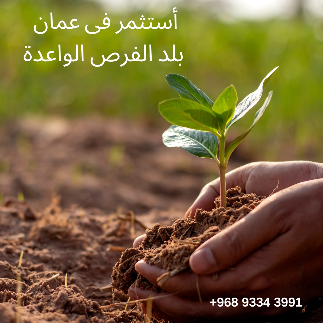 التصنيع الغذائي